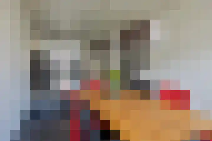 Schemperserf 65 Staphorst thumbnail 16