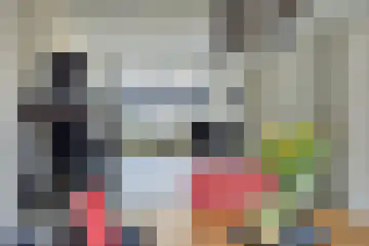 Schemperserf 65 Staphorst thumbnail 17