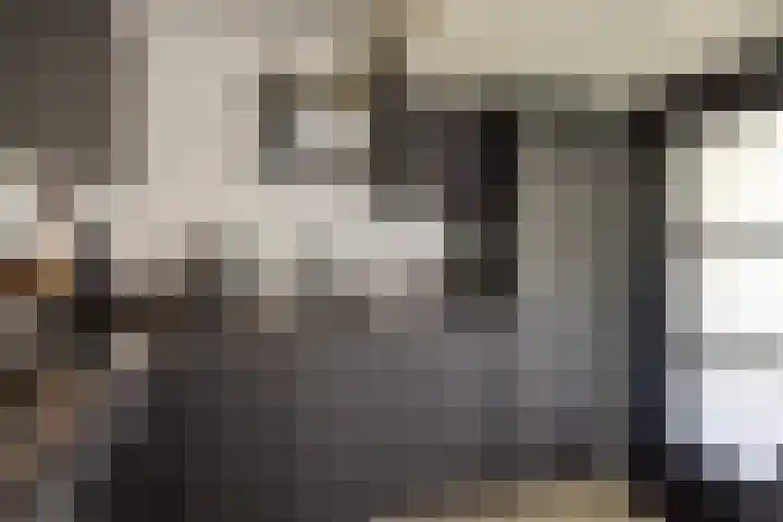 Schemperserf 65 Staphorst thumbnail 19