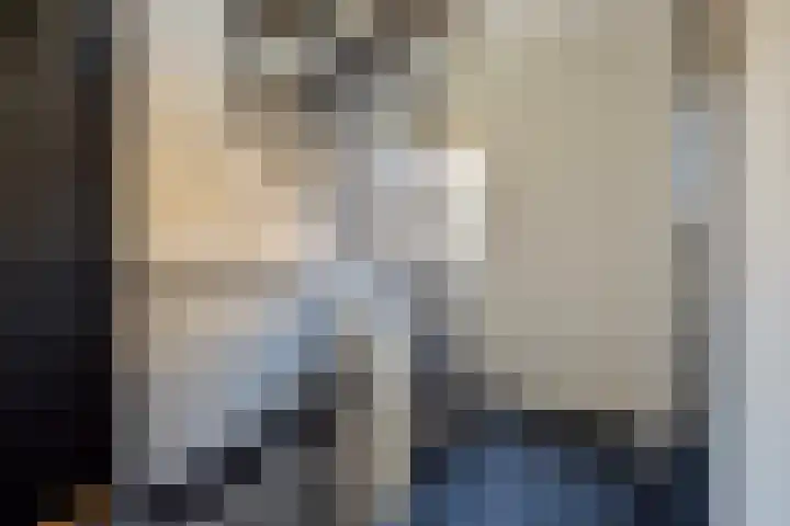 Schemperserf 65 Staphorst thumbnail 25