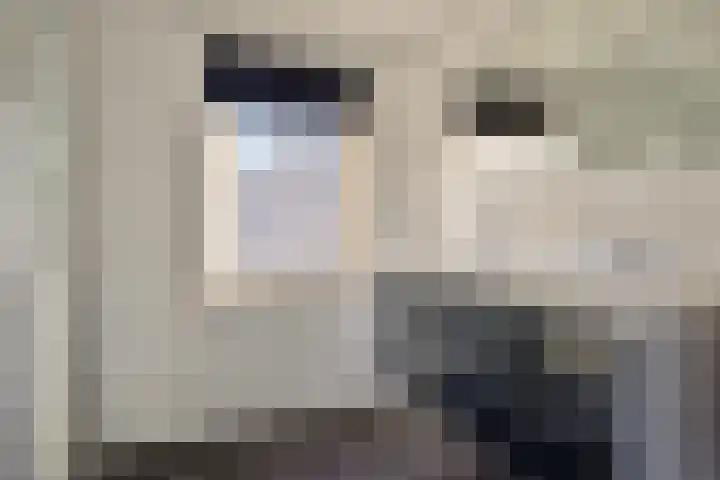 Schemperserf 65 Staphorst thumbnail 27