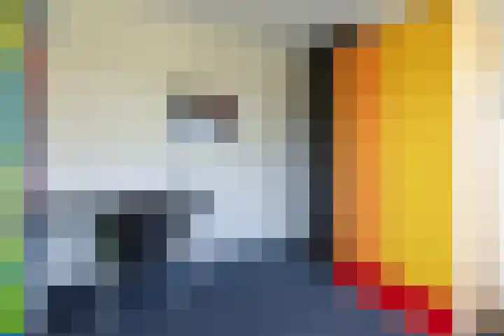 Schemperserf 65 Staphorst thumbnail 33