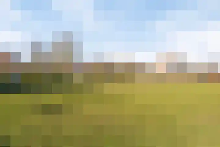 Schemperserf 65 Staphorst thumbnail 44