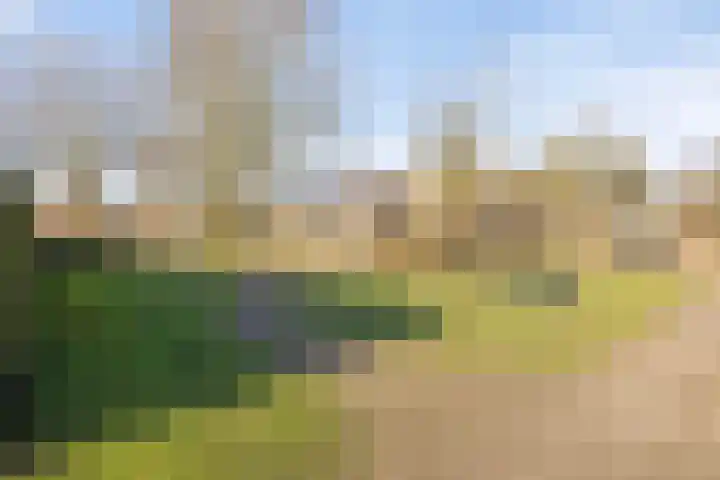 Schemperserf 65 Staphorst thumbnail 45