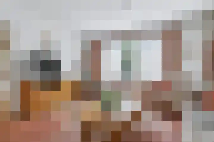 Schenkeldijk 15 Strijen thumbnail 11