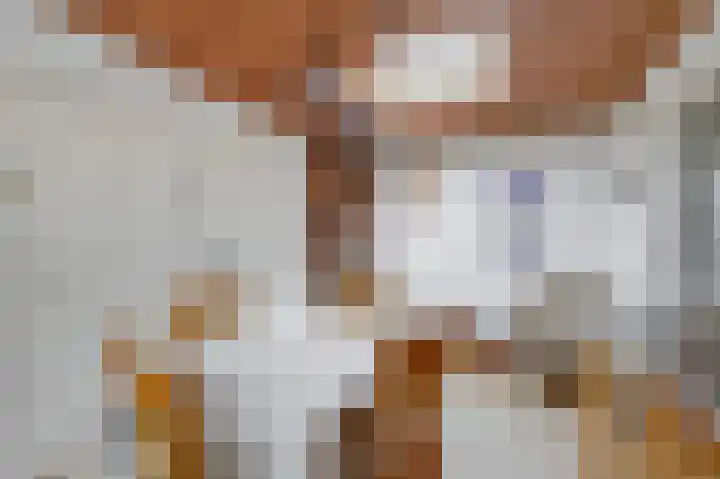 Schenkeldijk 15 Strijen thumbnail 14