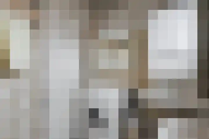 Schenkeldijk 15 Strijen thumbnail 15