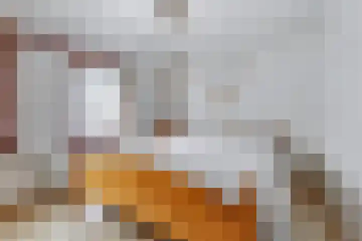 Schenkeldijk 15 Strijen thumbnail 19