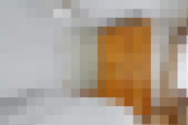 Schenkeldijk 15 Strijen thumbnail 20