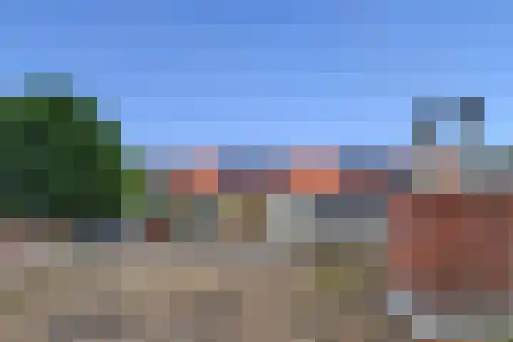 Schenkeldijk 15 Strijen thumbnail 25