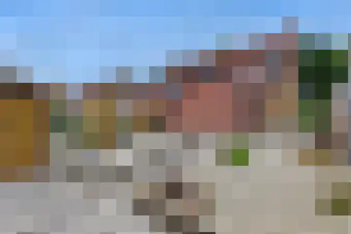 Schenkeldijk 15 Strijen thumbnail 4