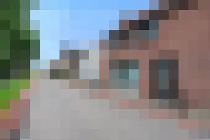 Schenkeldijk 15 Strijen thumbnail 6