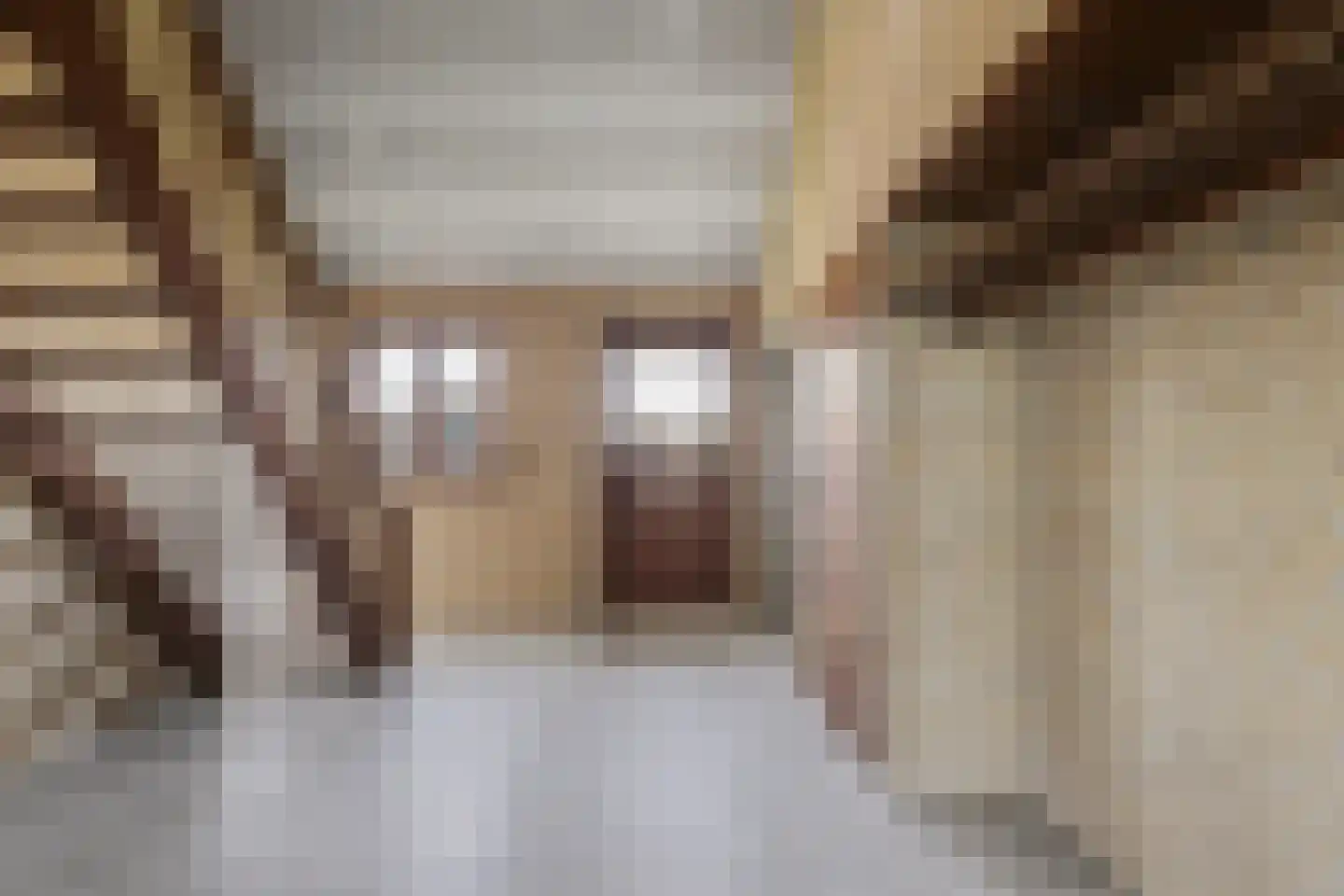 Schenkeldijk 29 Strijen thumbnail 12