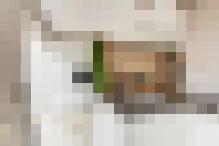 Schenkeldijk 5 Wervershoof thumbnail 13
