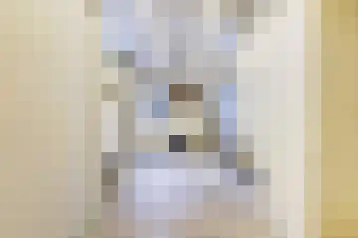 Schenkeldijk 5 Wervershoof thumbnail 17