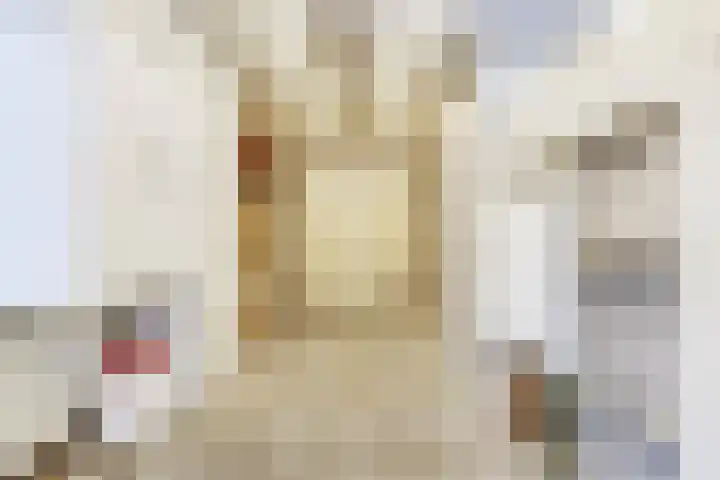 Schenkeldijk 5 Wervershoof thumbnail 18
