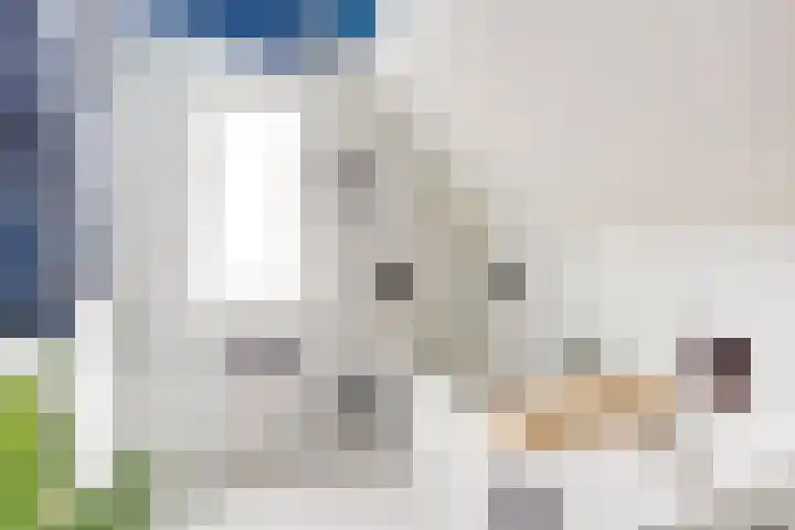Schenkeldijk 5 Wervershoof thumbnail 26