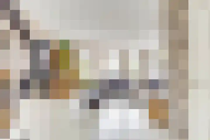 Schenkeldijk 5 Wervershoof thumbnail 6