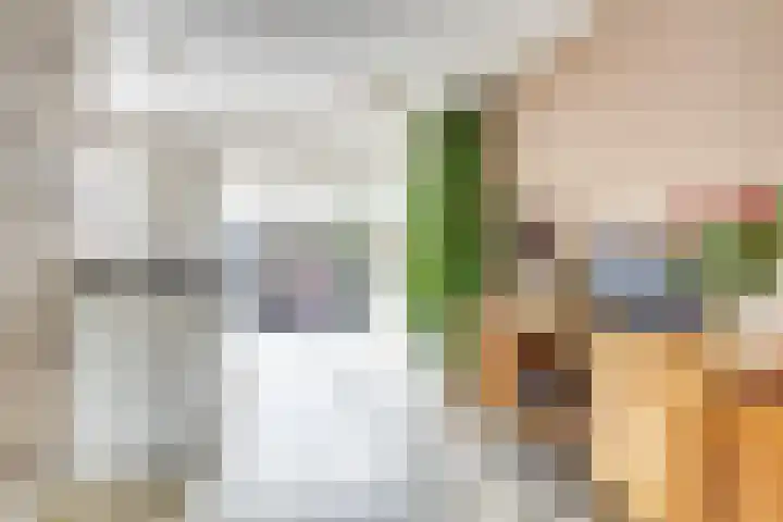 Schenkeldijk 5 Wervershoof thumbnail 9