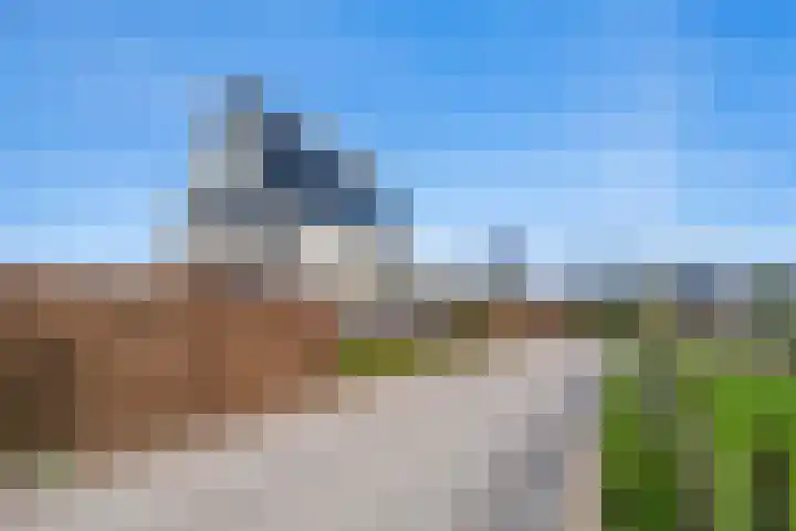 Schenkeldijk 59 Strijen thumbnail 25