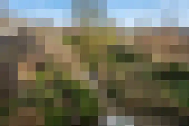 Schenkeldijk 59 Strijen thumbnail 39