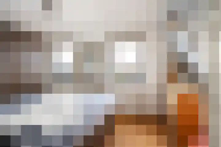 Schenkeldijk 59 Strijen thumbnail 43