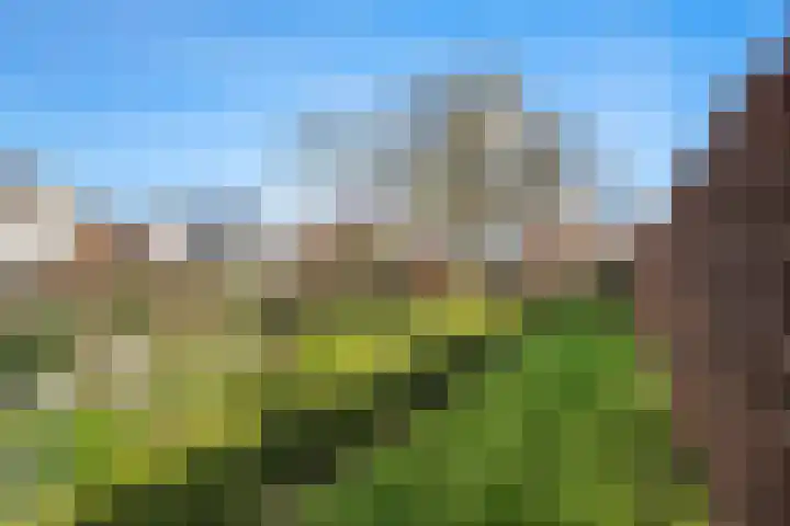 Schenkeldijk 59 Strijen thumbnail 5