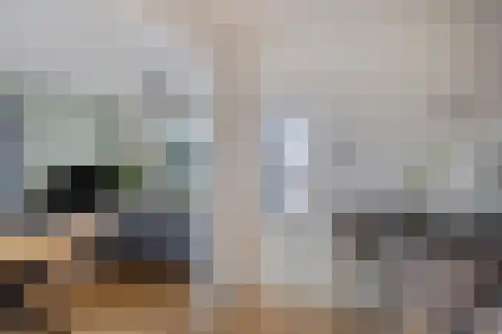 Schenkeldijk 59 Strijen thumbnail 55