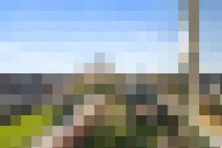 Schenkeldijk 59 Strijen thumbnail 55