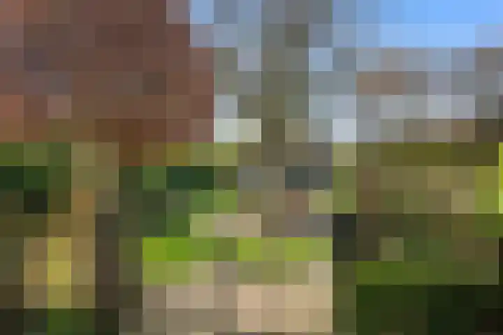 Schenkeldijk 59 Strijen thumbnail 57