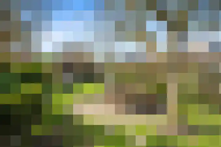 Schenkeldijk 59 Strijen thumbnail 58