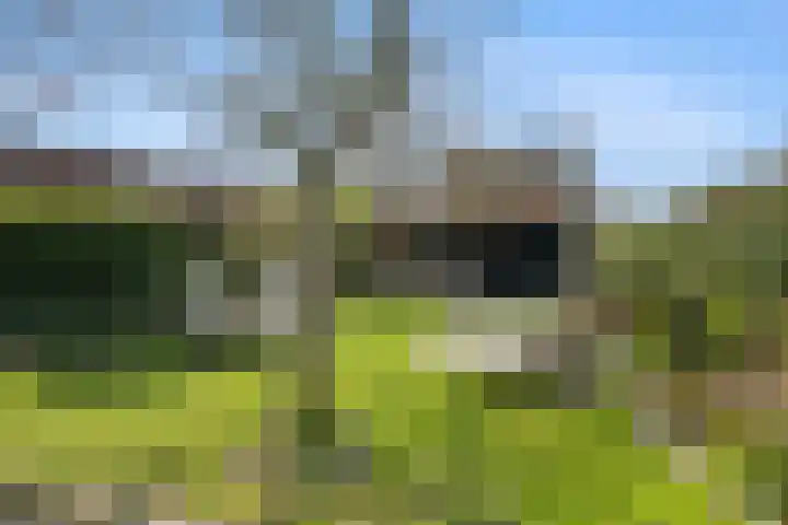 Schenkeldijk 59 Strijen thumbnail 59