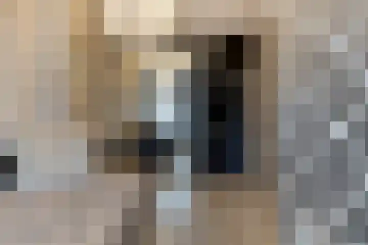 Schenkeldijk 59 Strijen thumbnail 60