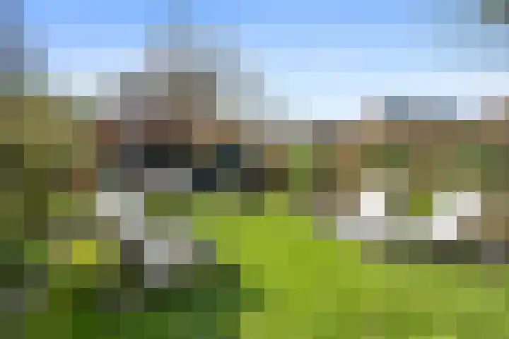 Schenkeldijk 59 Strijen thumbnail 60