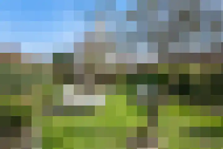 Schenkeldijk 59 Strijen thumbnail 62