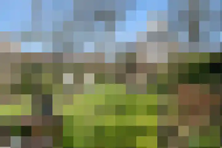 Schenkeldijk 59 Strijen thumbnail 64