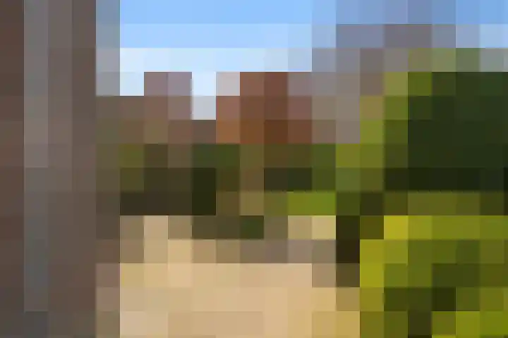 Schenkeldijk 59 Strijen thumbnail 65