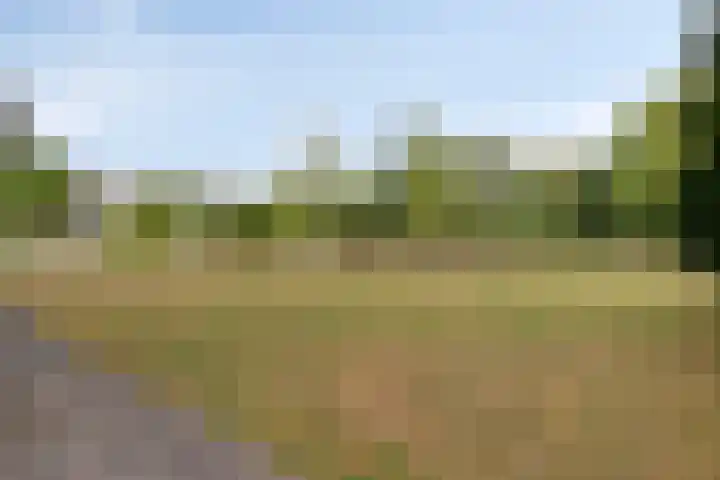 Schenkeldijk 59 Strijen thumbnail 66