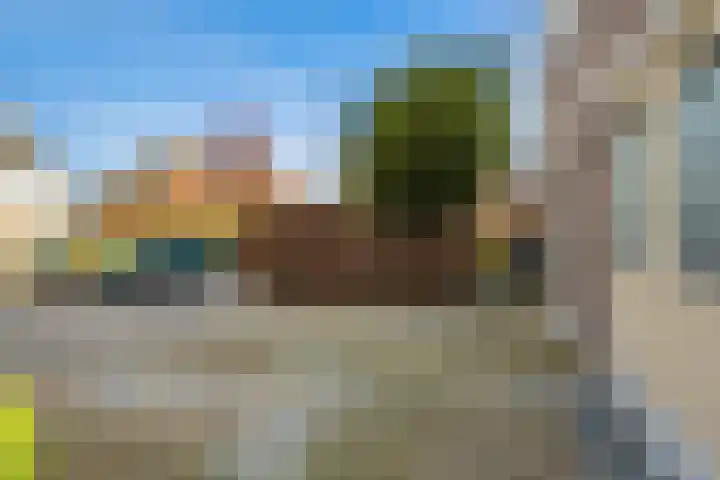 Schenkeldijk 59 Strijen thumbnail 67