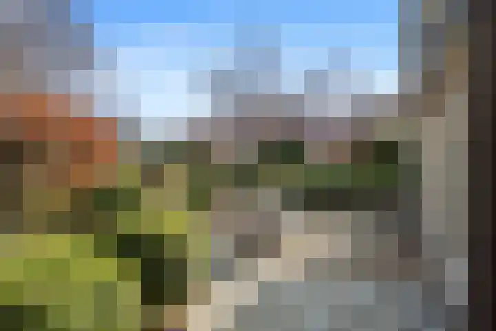 Schenkeldijk 59 Strijen thumbnail 68