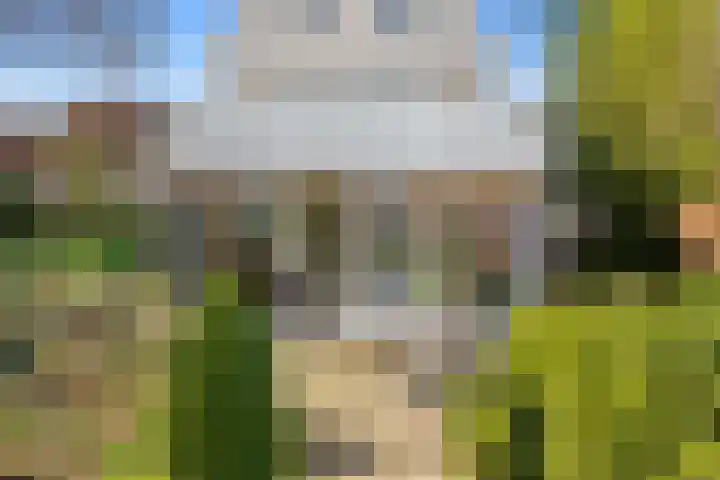 Schenkeldijk 59 Strijen thumbnail 69