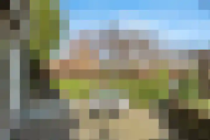 Schenkeldijk 59 Strijen thumbnail 70