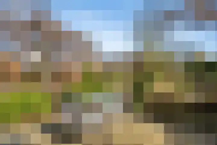 Schenkeldijk 59 Strijen thumbnail 71