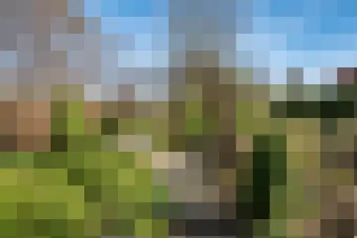 Schenkeldijk 59 Strijen thumbnail 72