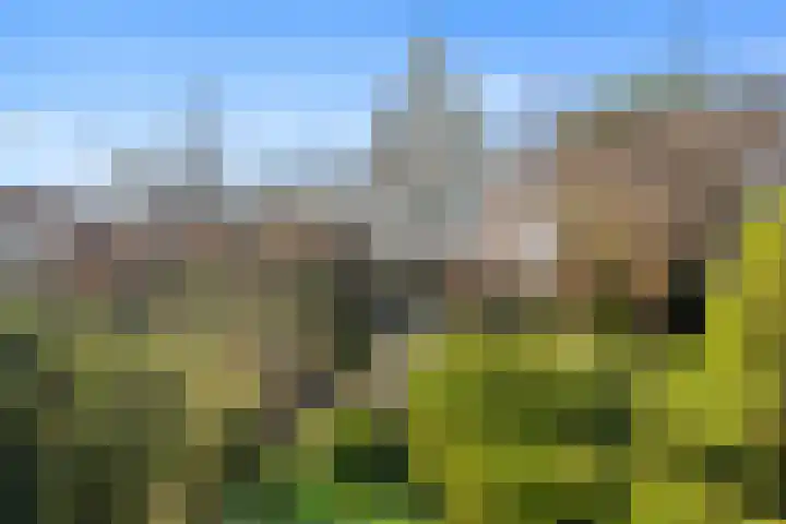 Schenkeldijk 59 Strijen thumbnail 73