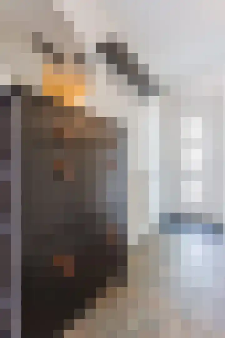 Schenkeldijk 59 Strijen thumbnail 76