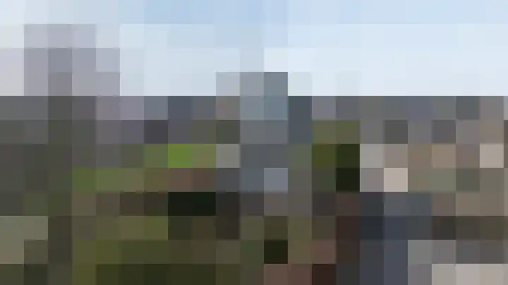 Schenkeldijk 59 Strijen thumbnail 76