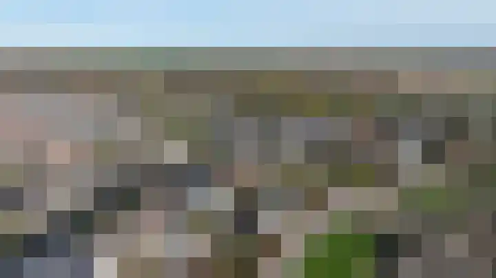 Schenkeldijk 59 Strijen thumbnail 77