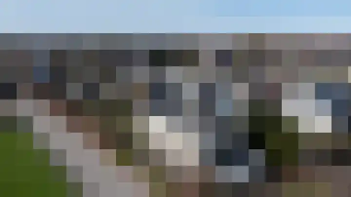 Schenkeldijk 59 Strijen thumbnail 79