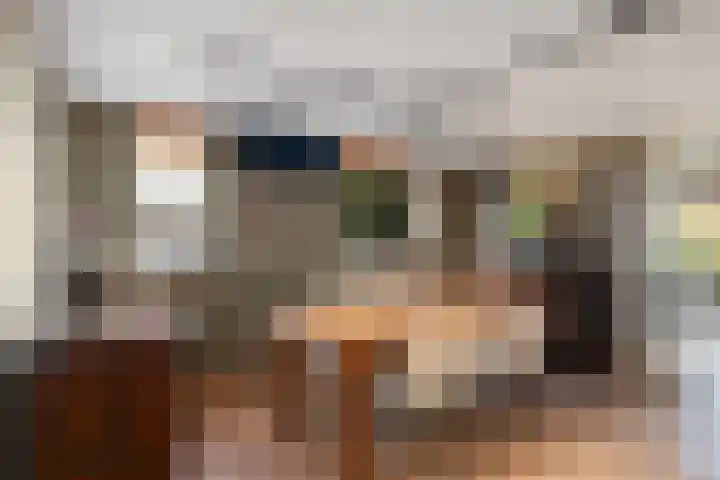 Schenkeldijk 59 Strijen thumbnail 8